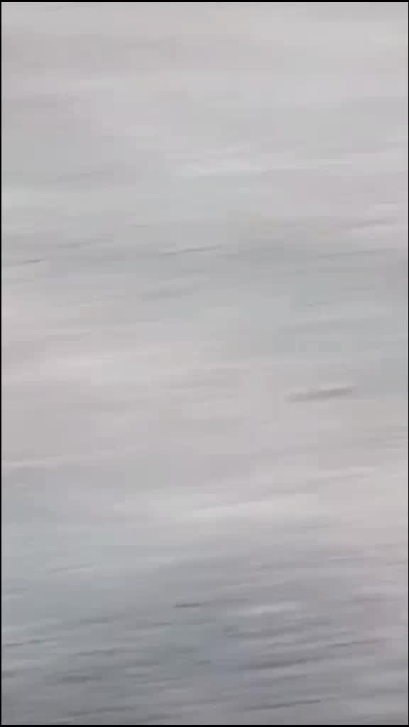@Chauhan😎