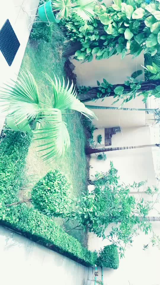 @Babita Sharma Auluck