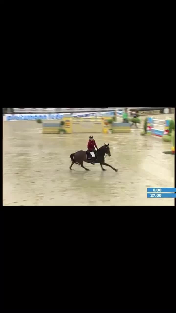 @🖇horses🖇