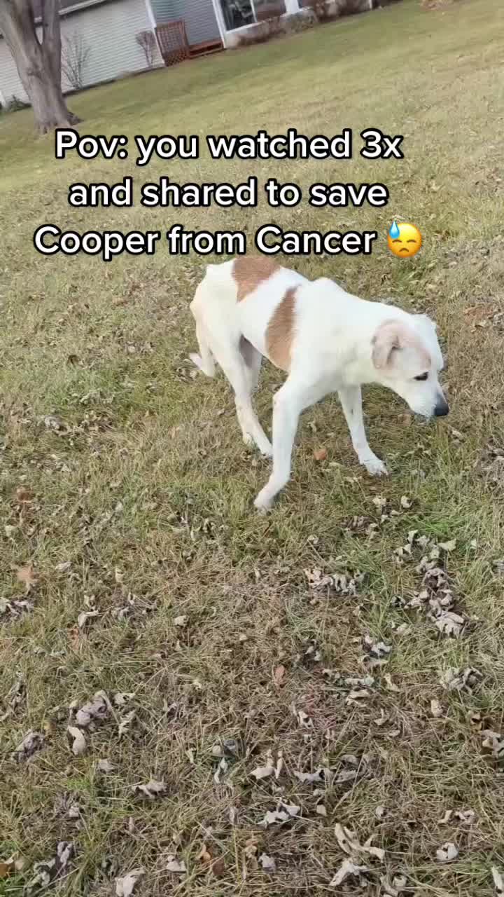 @PrayForCooper
