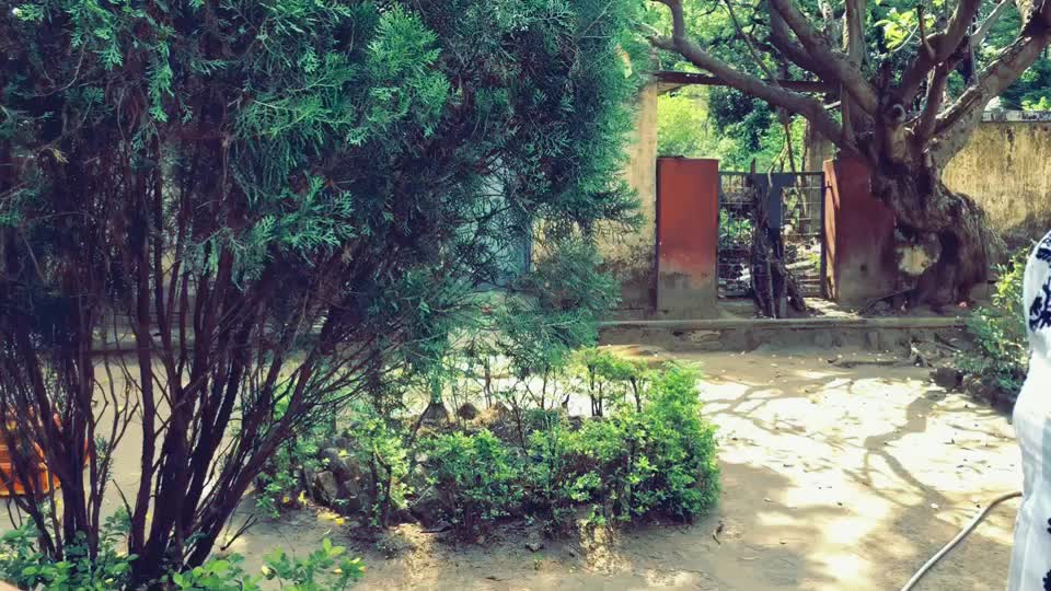 @Ritu Shree