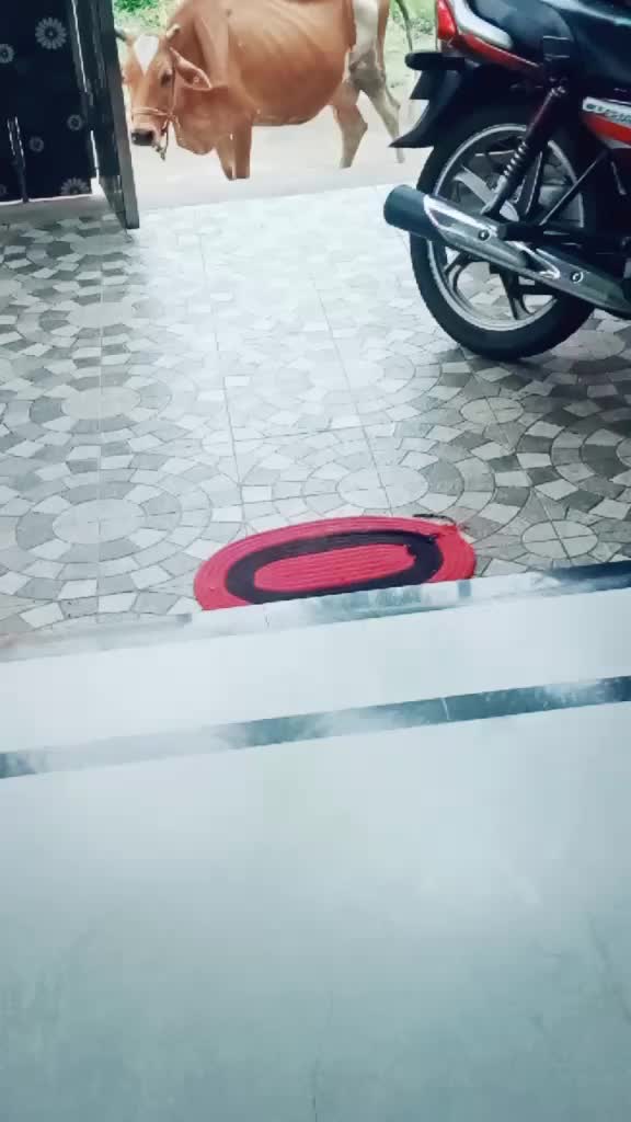 @Radhika 944