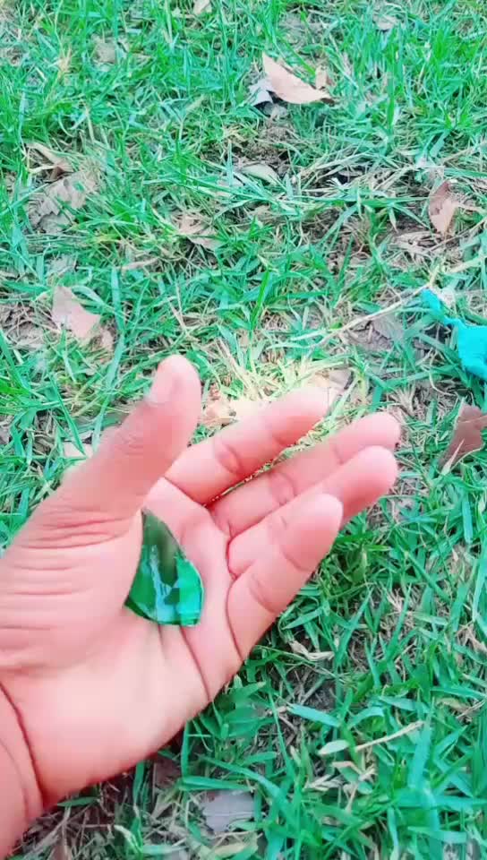 @prem 143