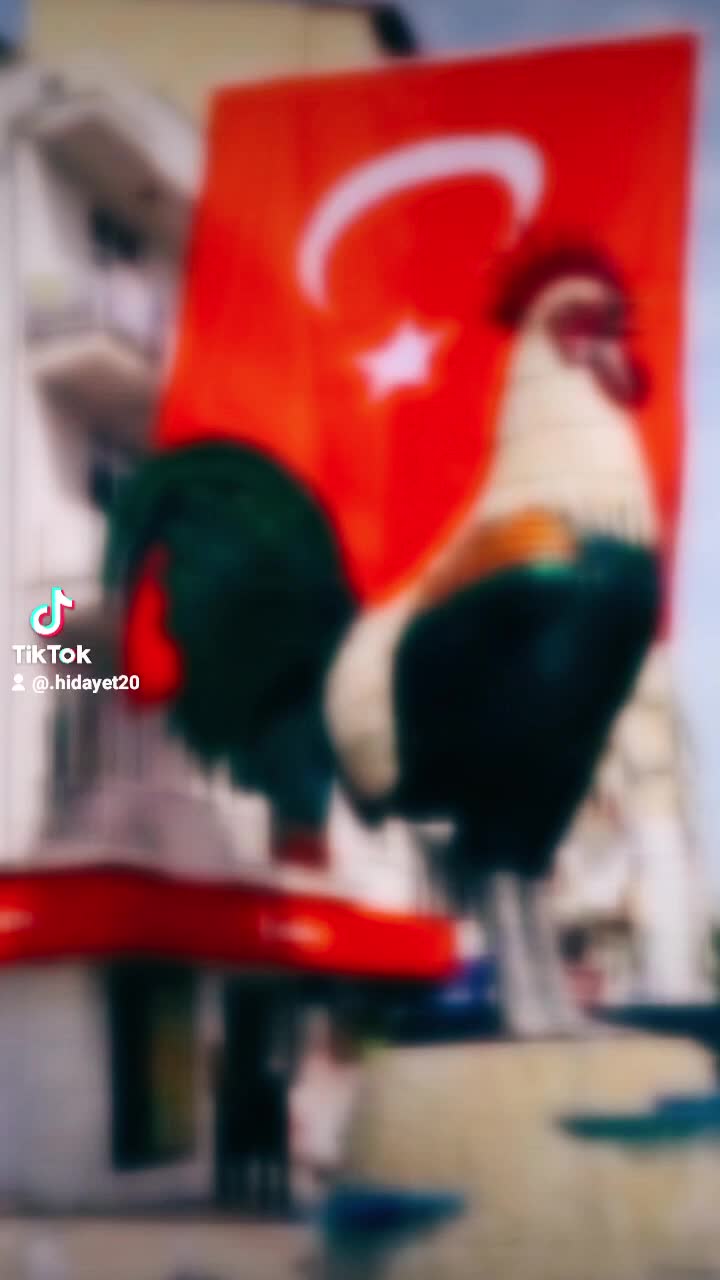 @Hidayet 20