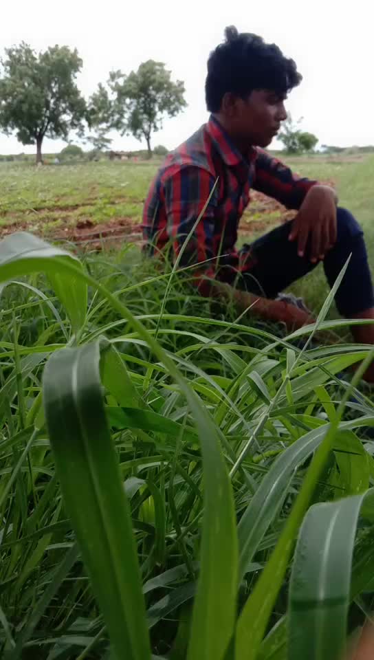 @Rowdy viju