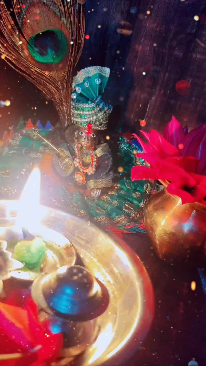 @user7637578293546