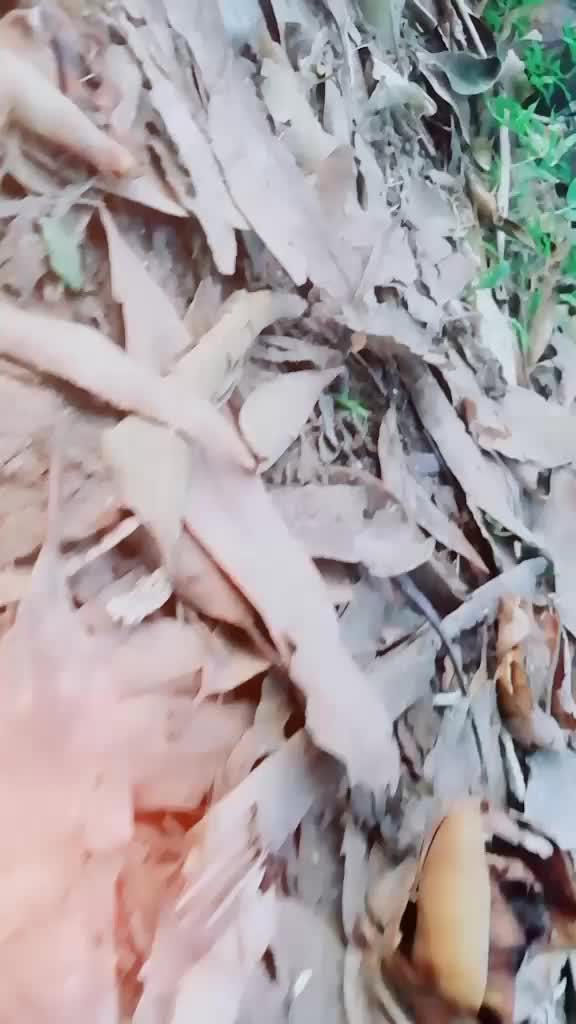 @arjun3384
