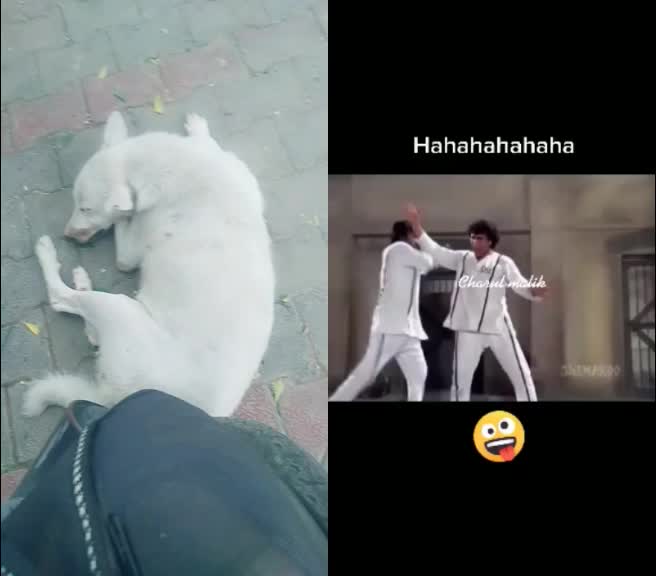 @SALIM MALIK