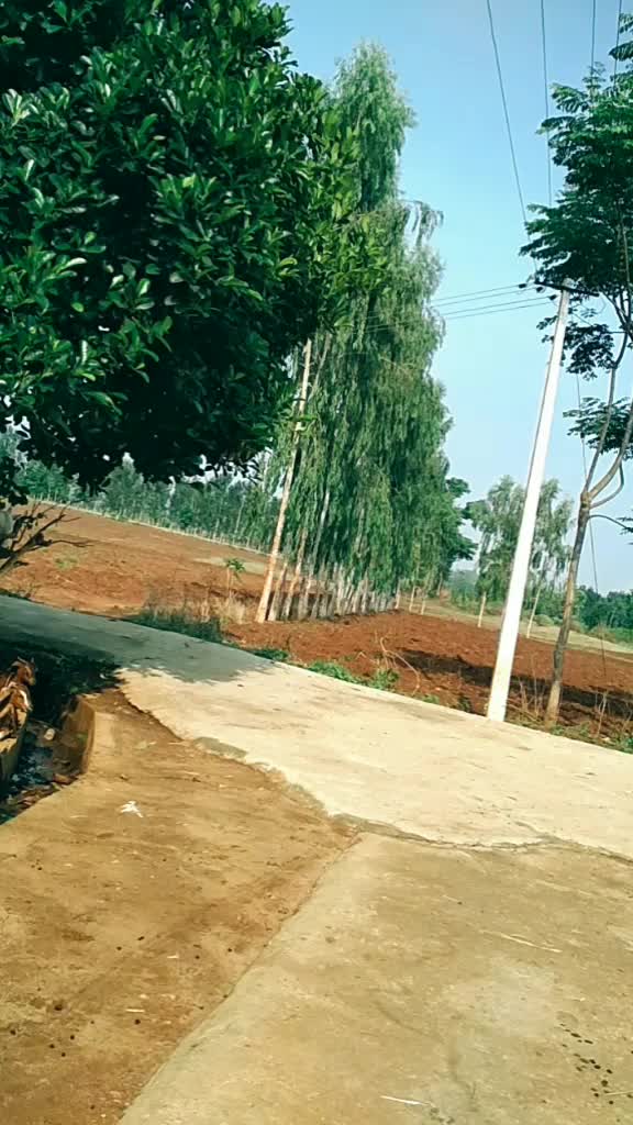 @Ranju Racchu