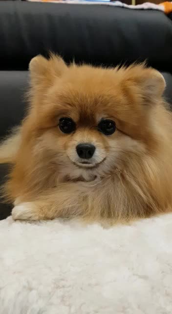 @busiya_cutie🐻♥️