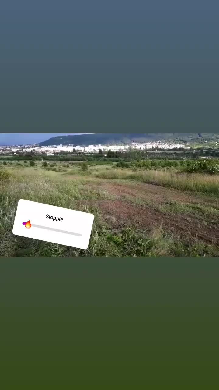 @Kaloyan Petrov