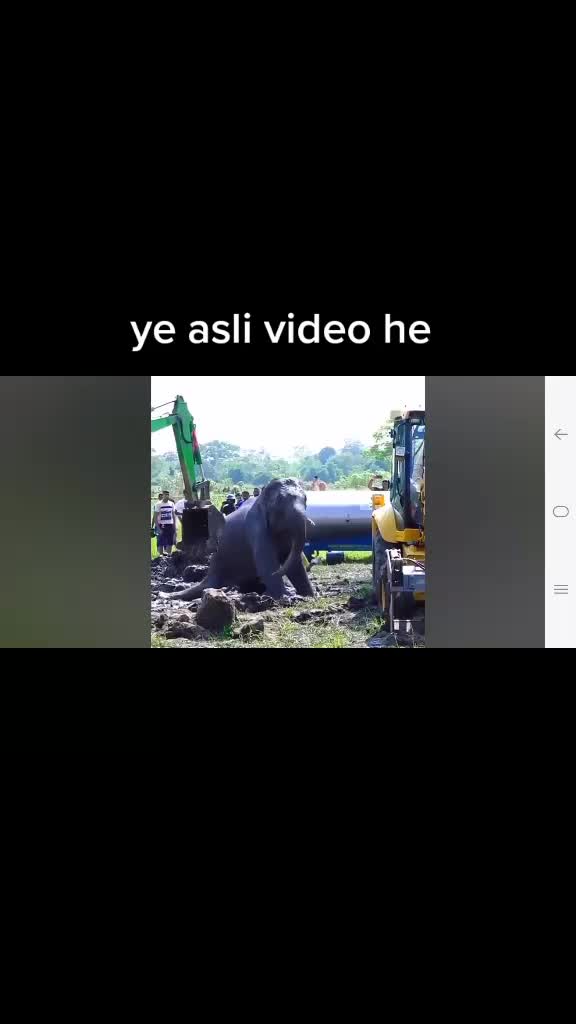 @Faizan Khan
