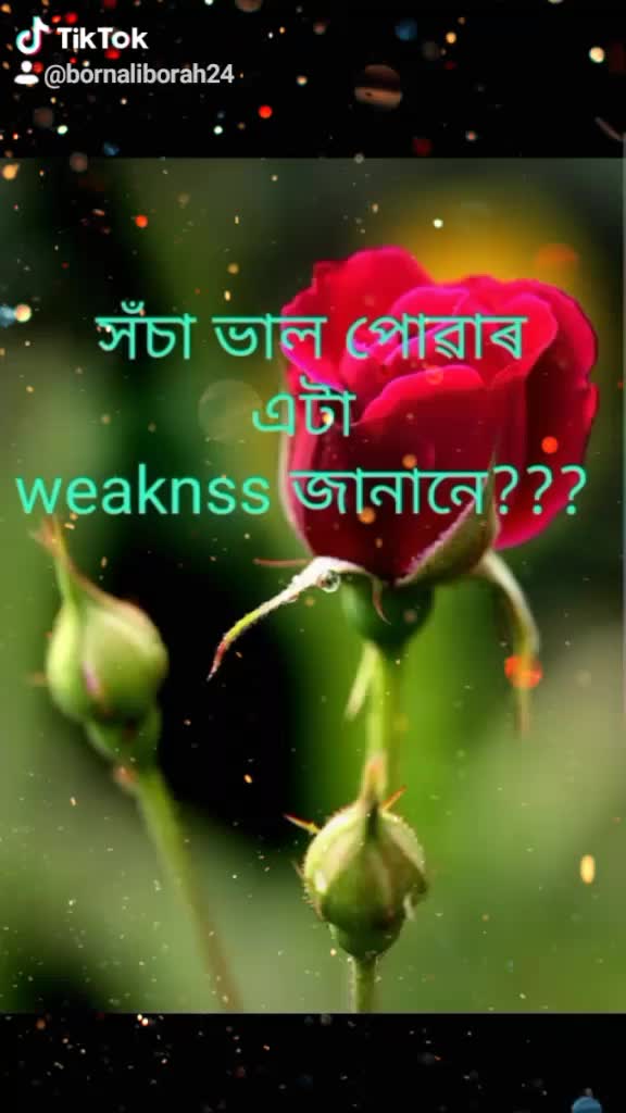 @bornali borah