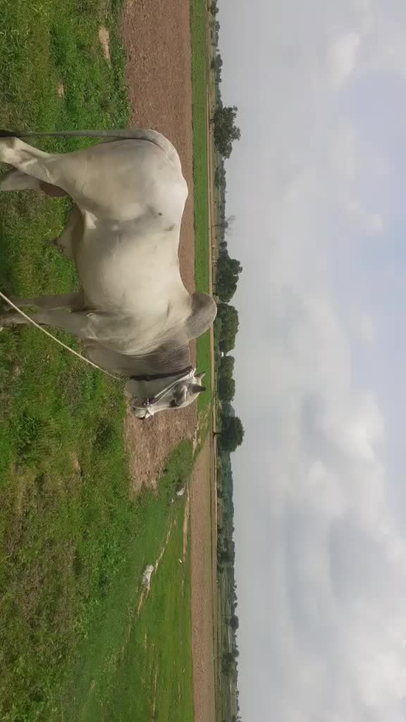 @Yadagiri Ntr Yadagir