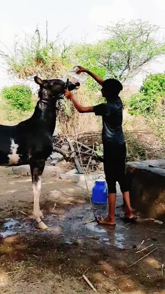 @vishal_ mundhava_ 88