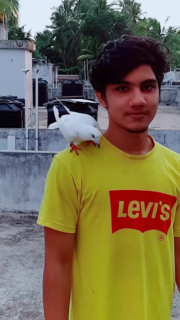 @Sri Krishna Mp