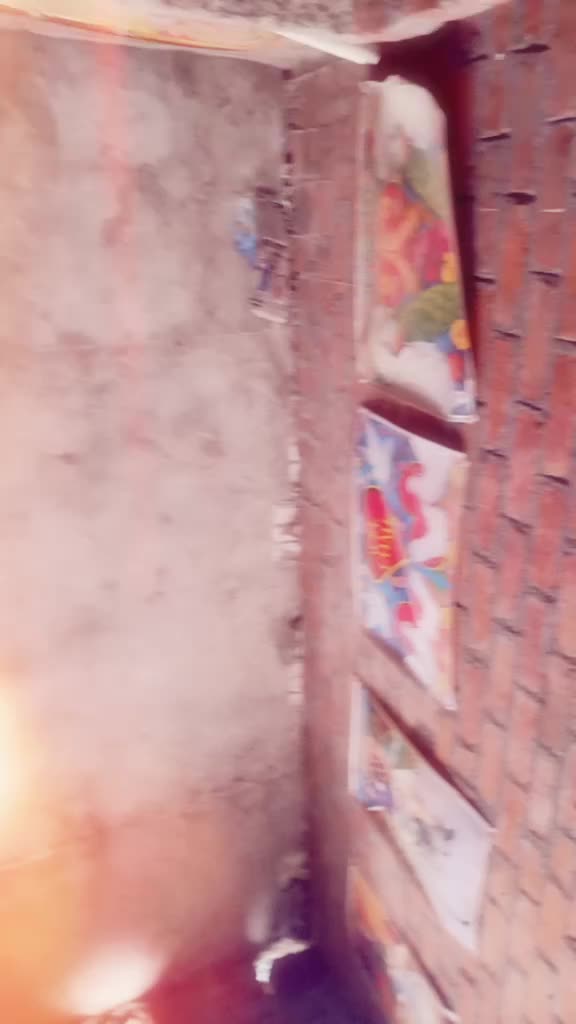 @Shara Bhai Bhai
