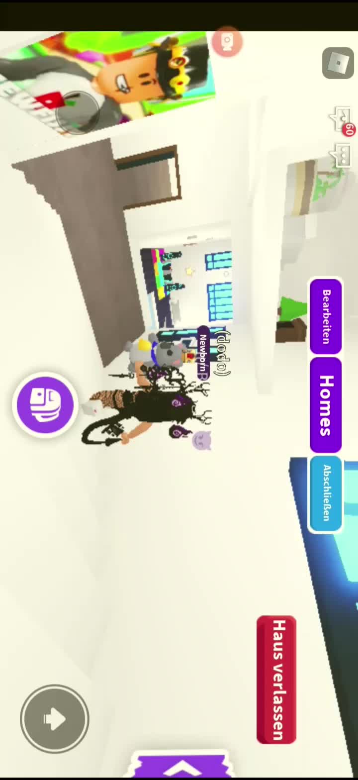 @langneseeis12