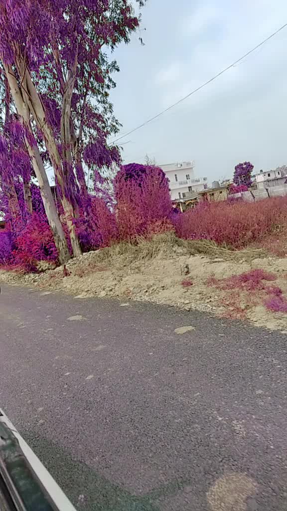 @REETU THAKUR
