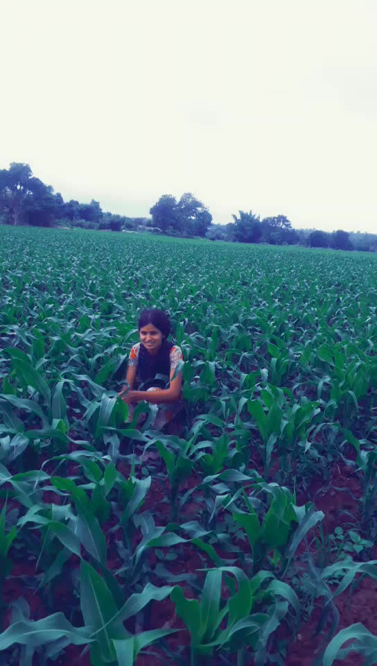 @Jyothi Gowda