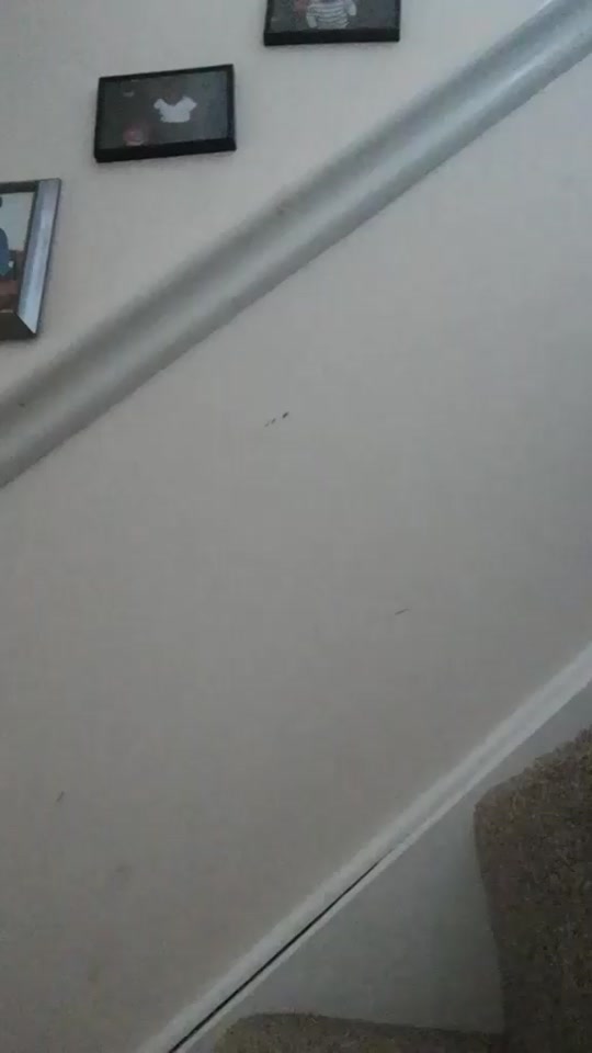@Undergamer