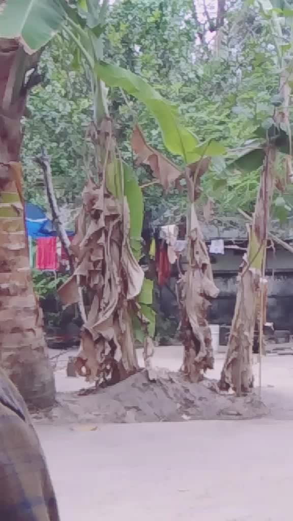 @Renju DQ