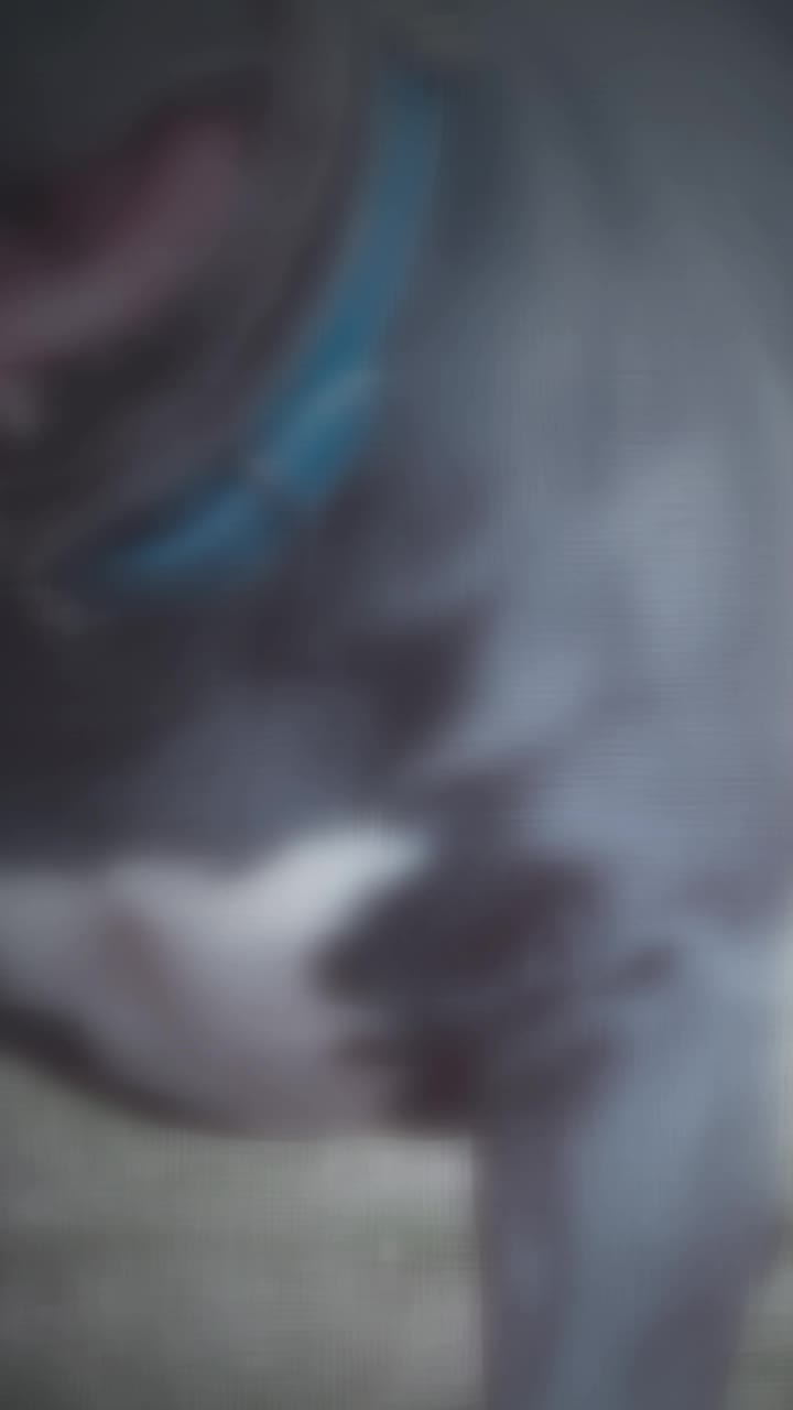 @GordiTheBully