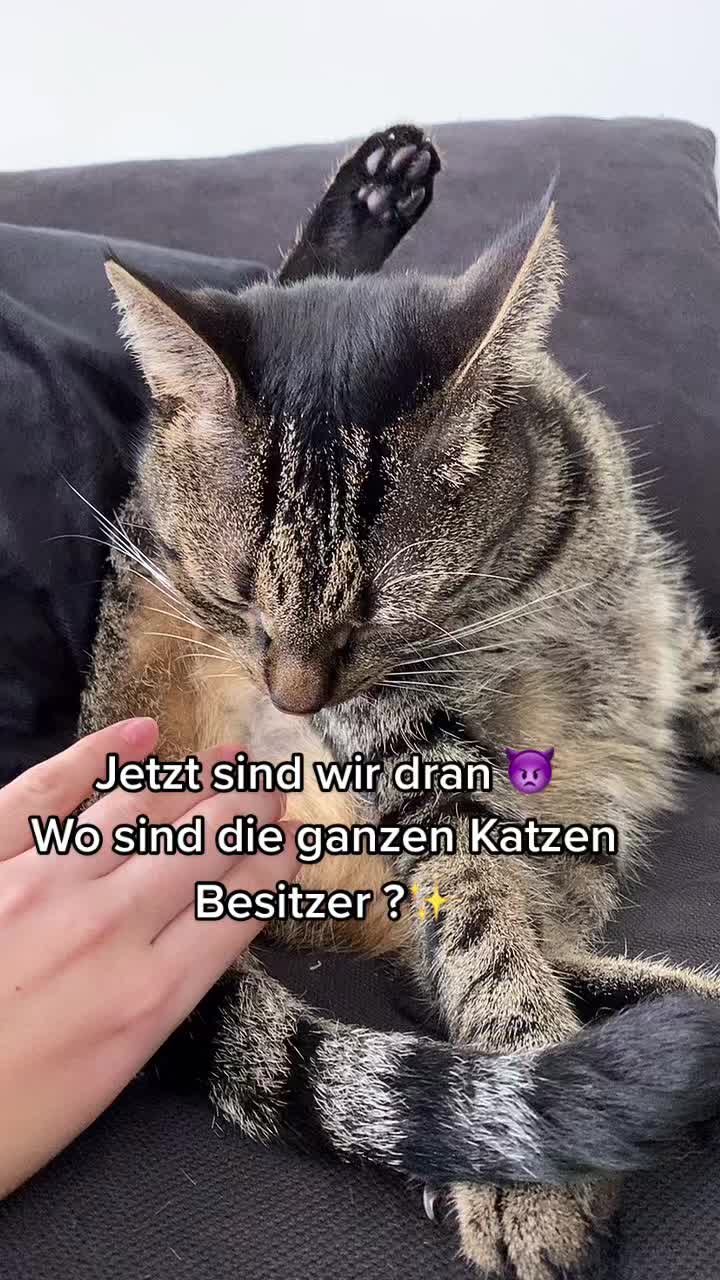 @Happykittycats_