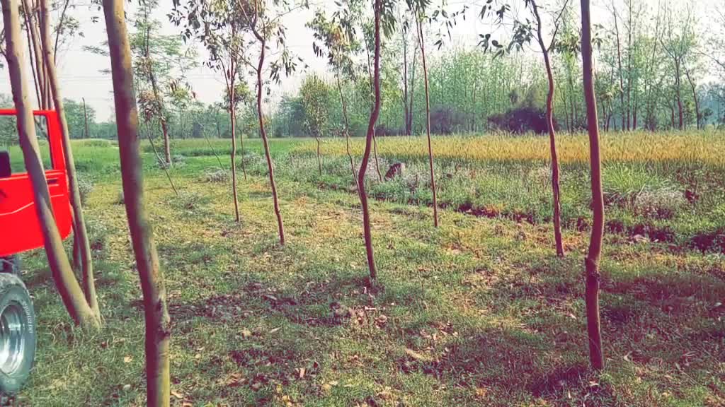 @aman agarwal22