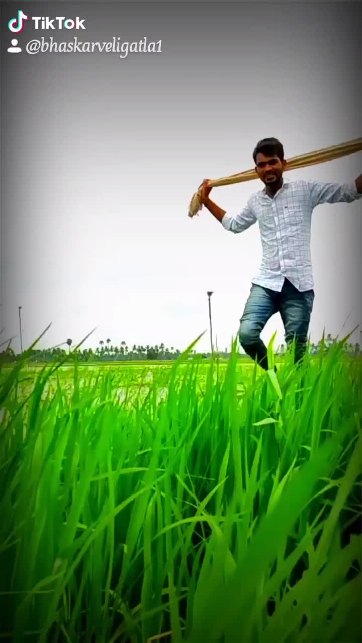 @bhaskar veligatla