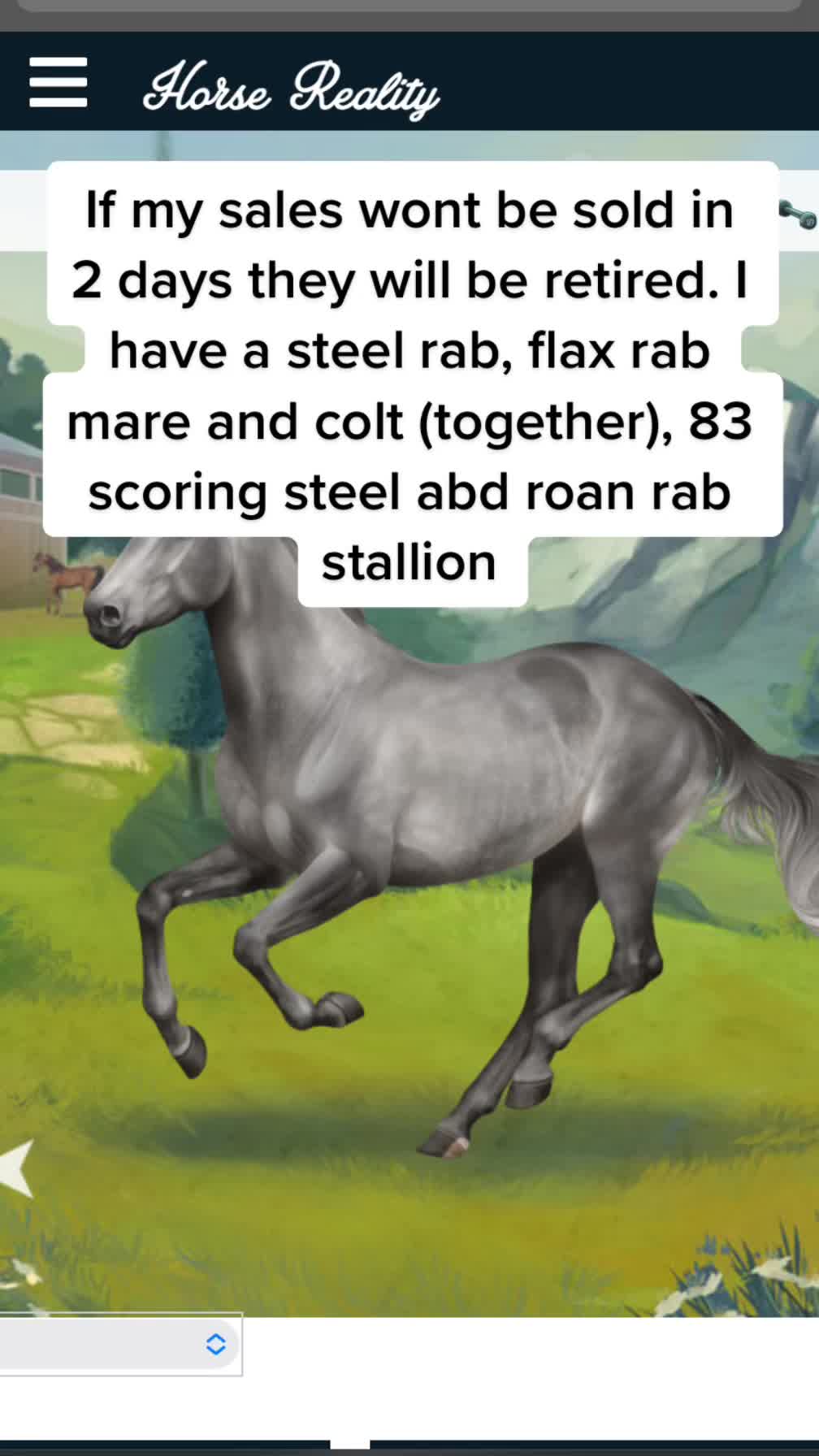 @Horse reality🤍