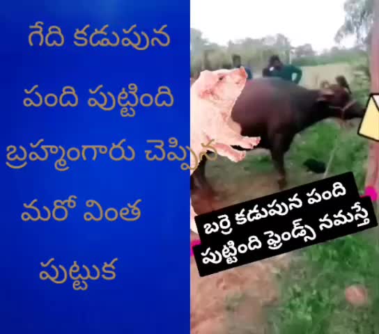 @Siva Lawrence