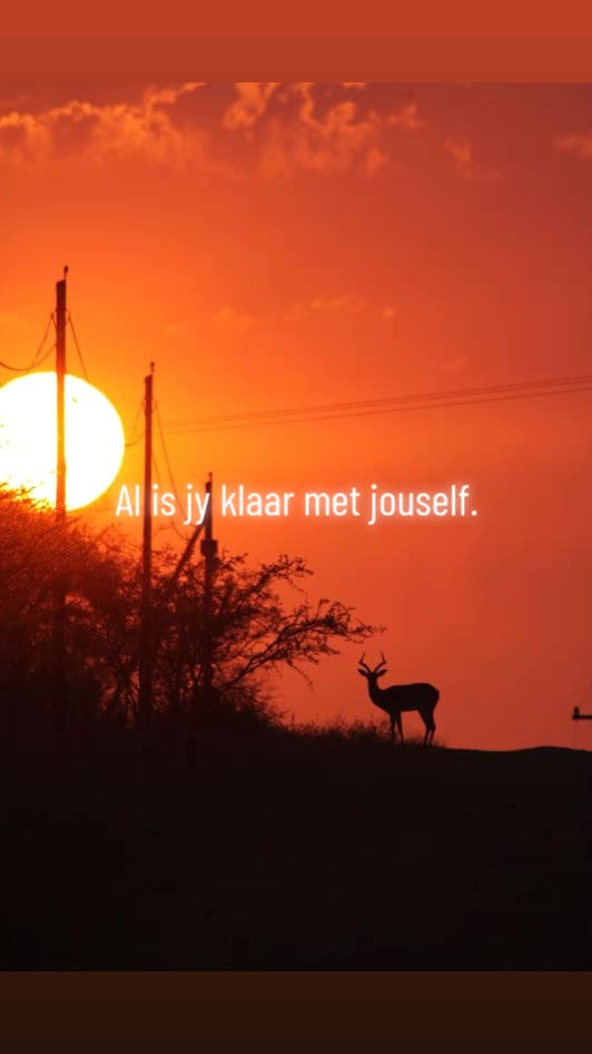 @M.J.A Serfontein