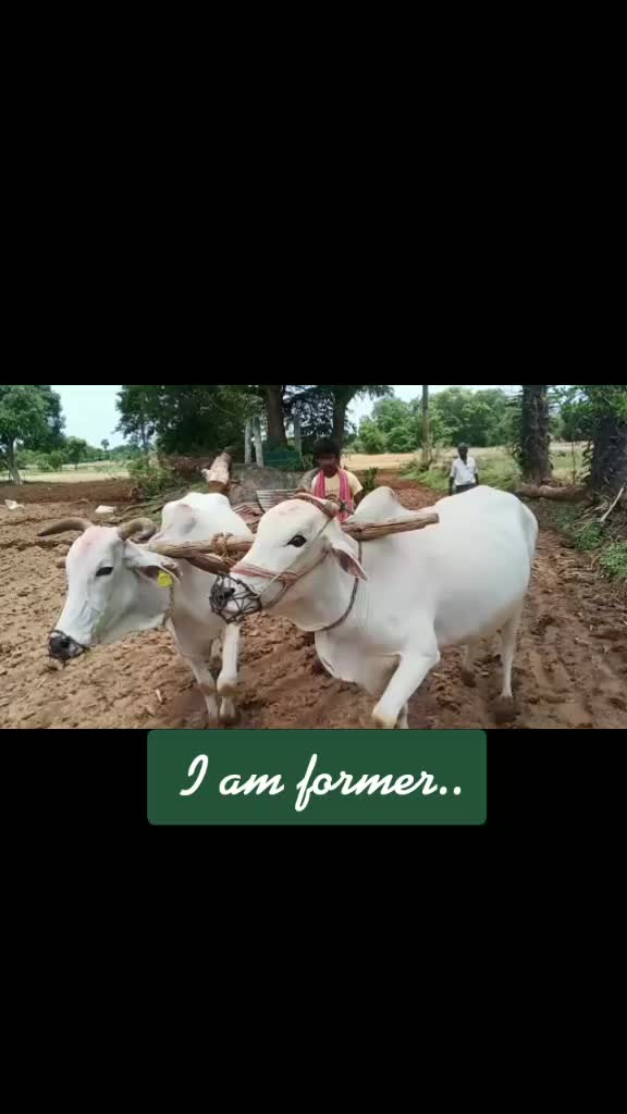 @Pspk