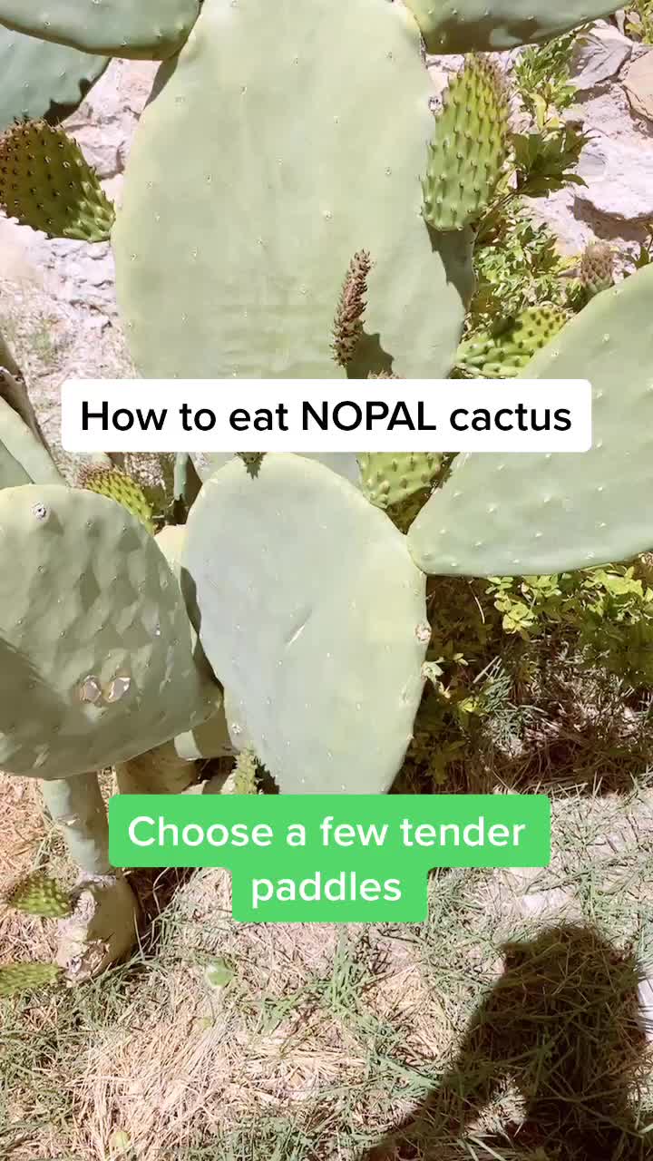 @Eli