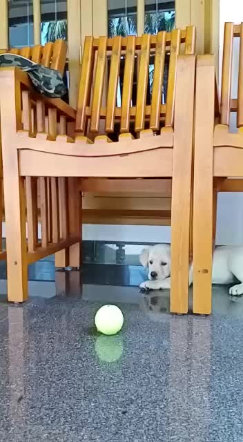 @vaisakh