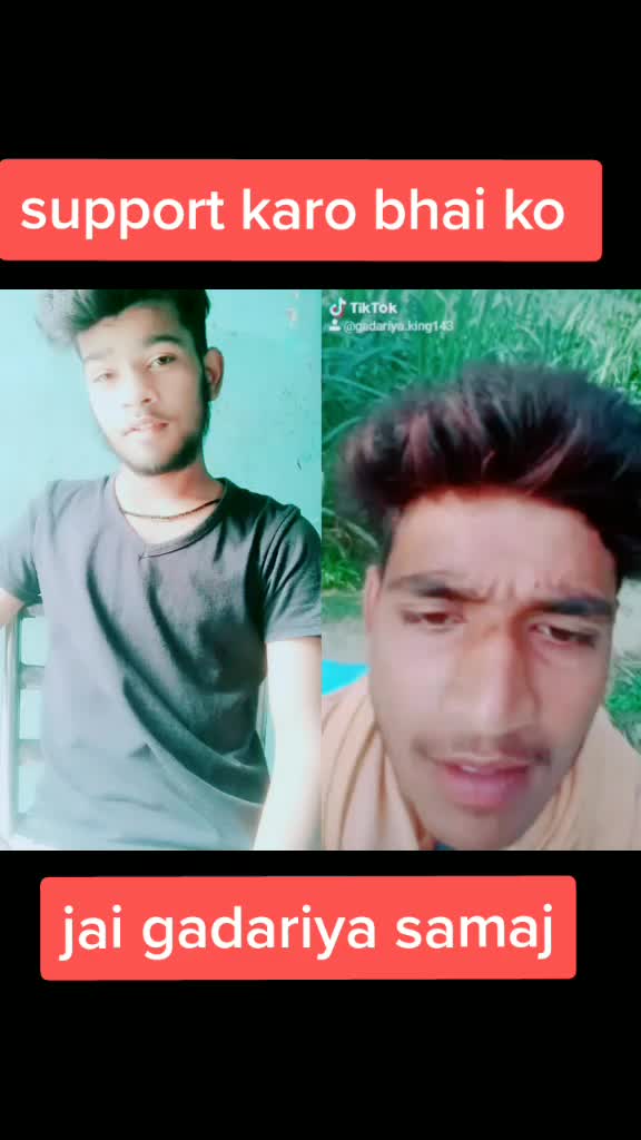 @gadariya sher 🐯🐯