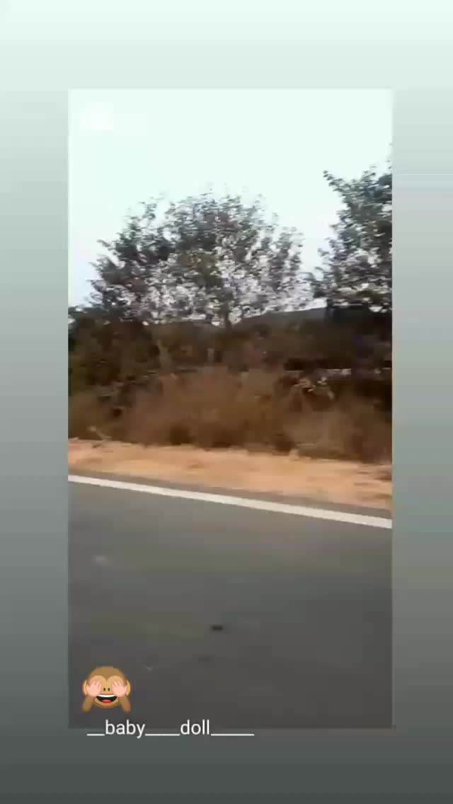 @786