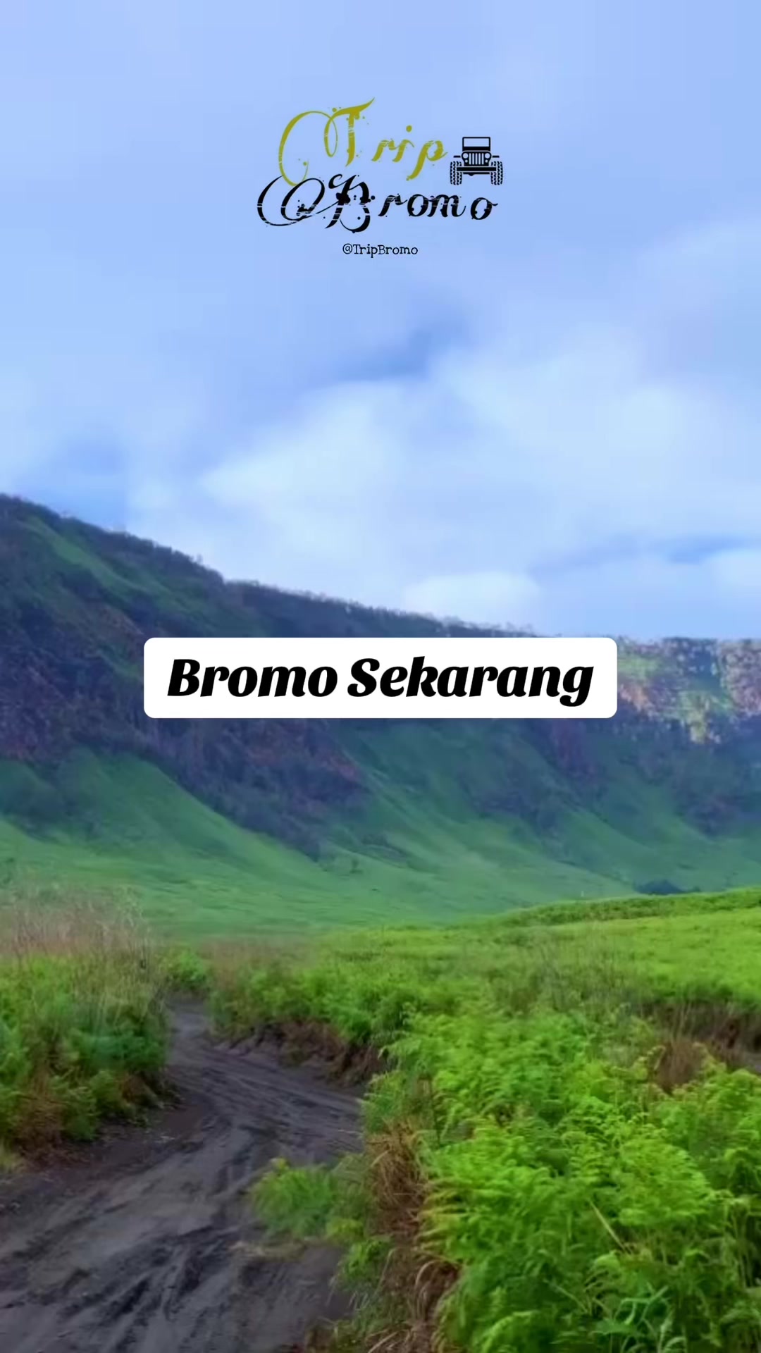 @Trip Bromo