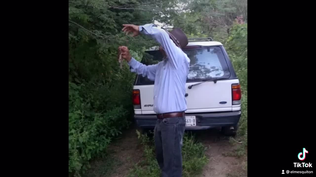 @user4963342968967