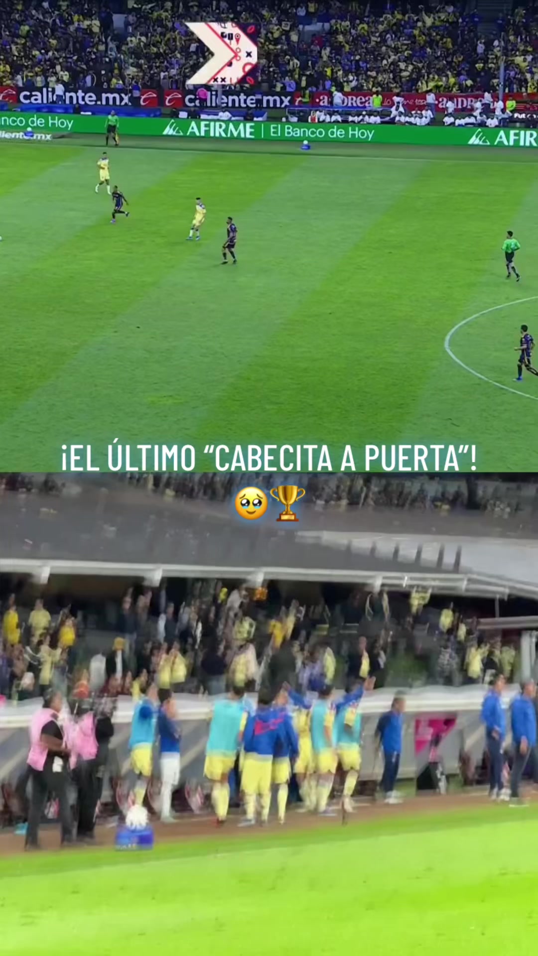 @Dinastía Águila