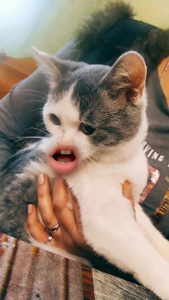 @Натали Котикова