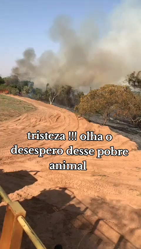 @ÍNDIO DO AGRO 🚜🌱