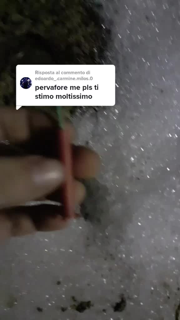 @yakixz