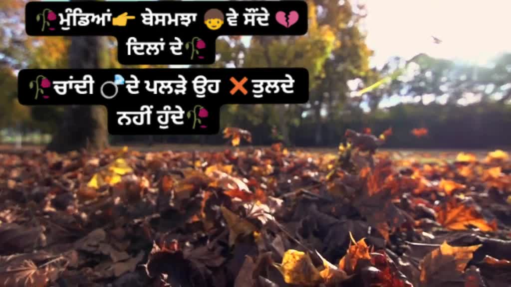 @Meet randhawa 👉pb09