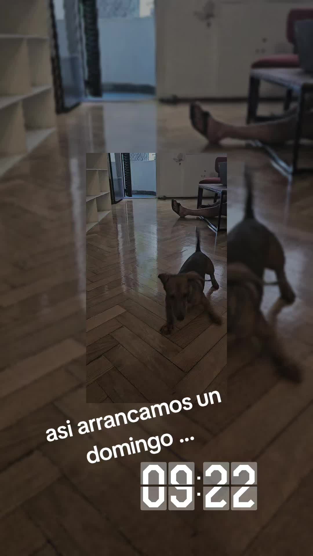 @rogeragorrea