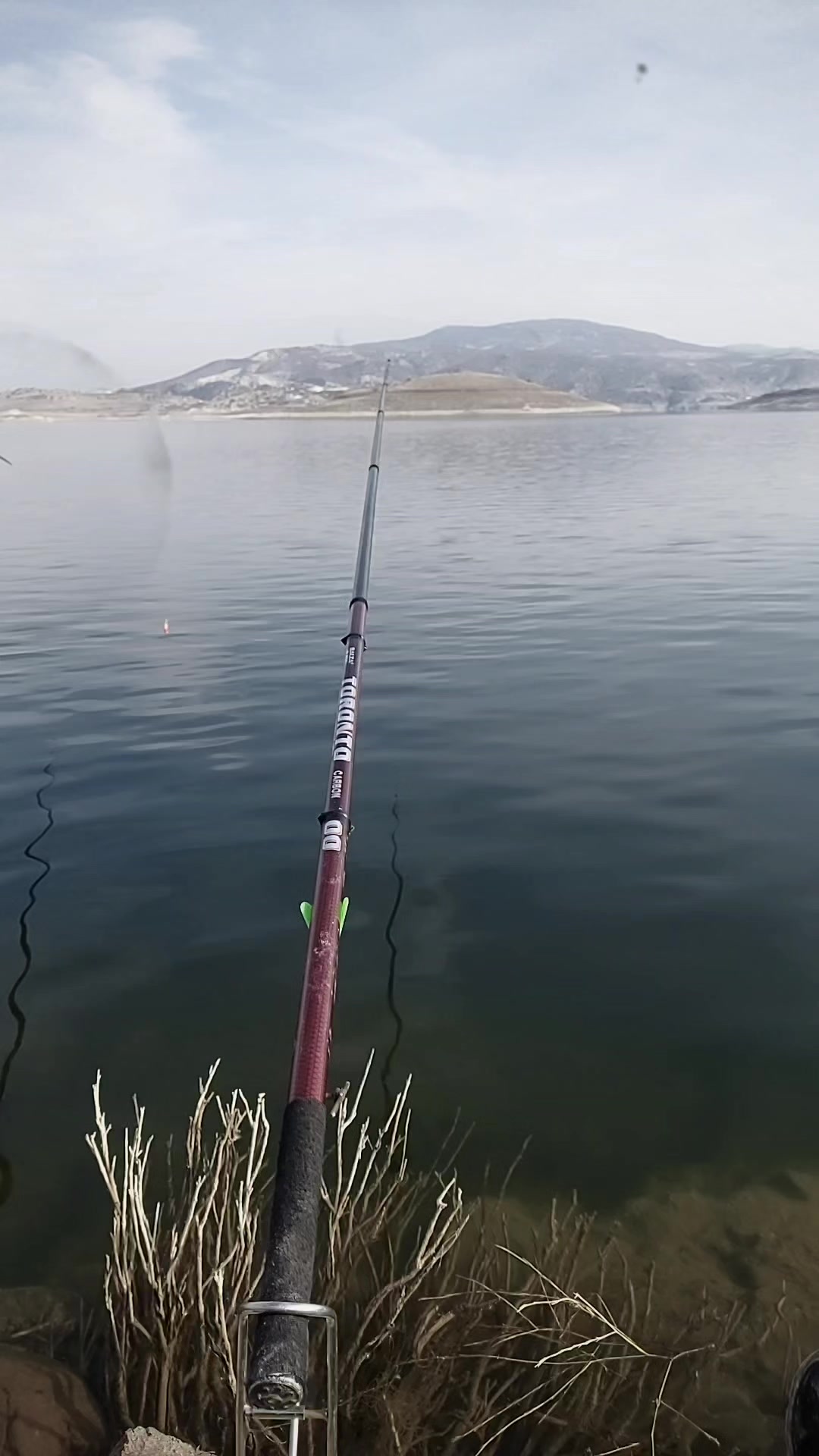 @SALİH SAĞLAM