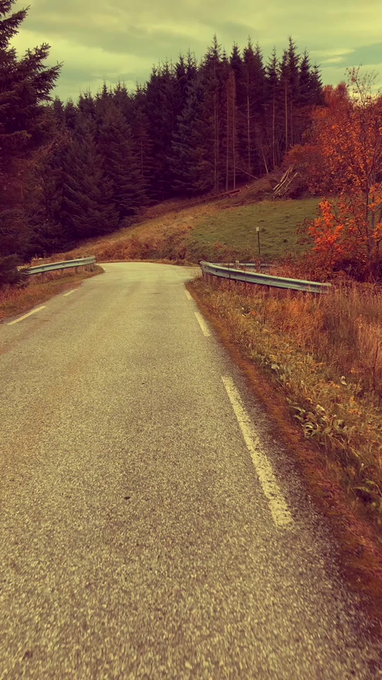 @Kitty02 🐈 🇳🇴