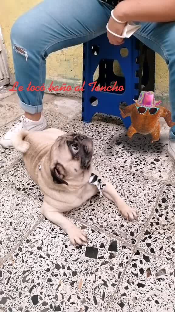 @Juan Gamboa