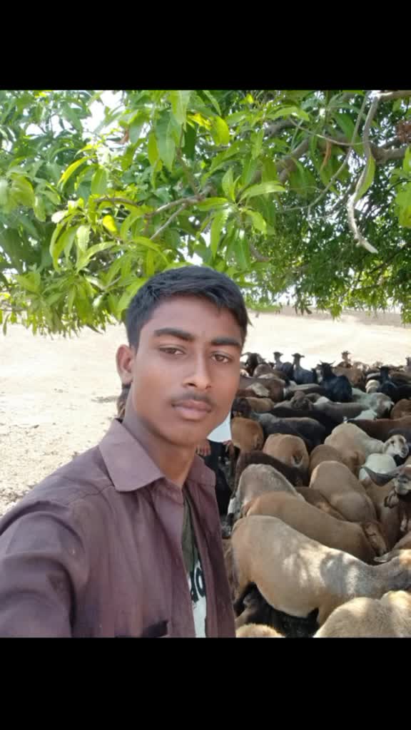@Onnala Mallesh